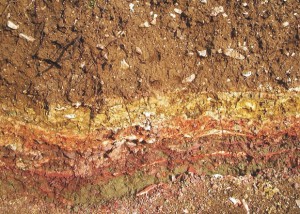 Sezione terreno per consolidamento fondamenta Sezione terreno per consolidamento fondamenta