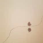 Crepe nel muro sono pericolose?