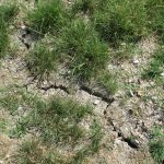 Consolidamento terreno argilloso SYStab
