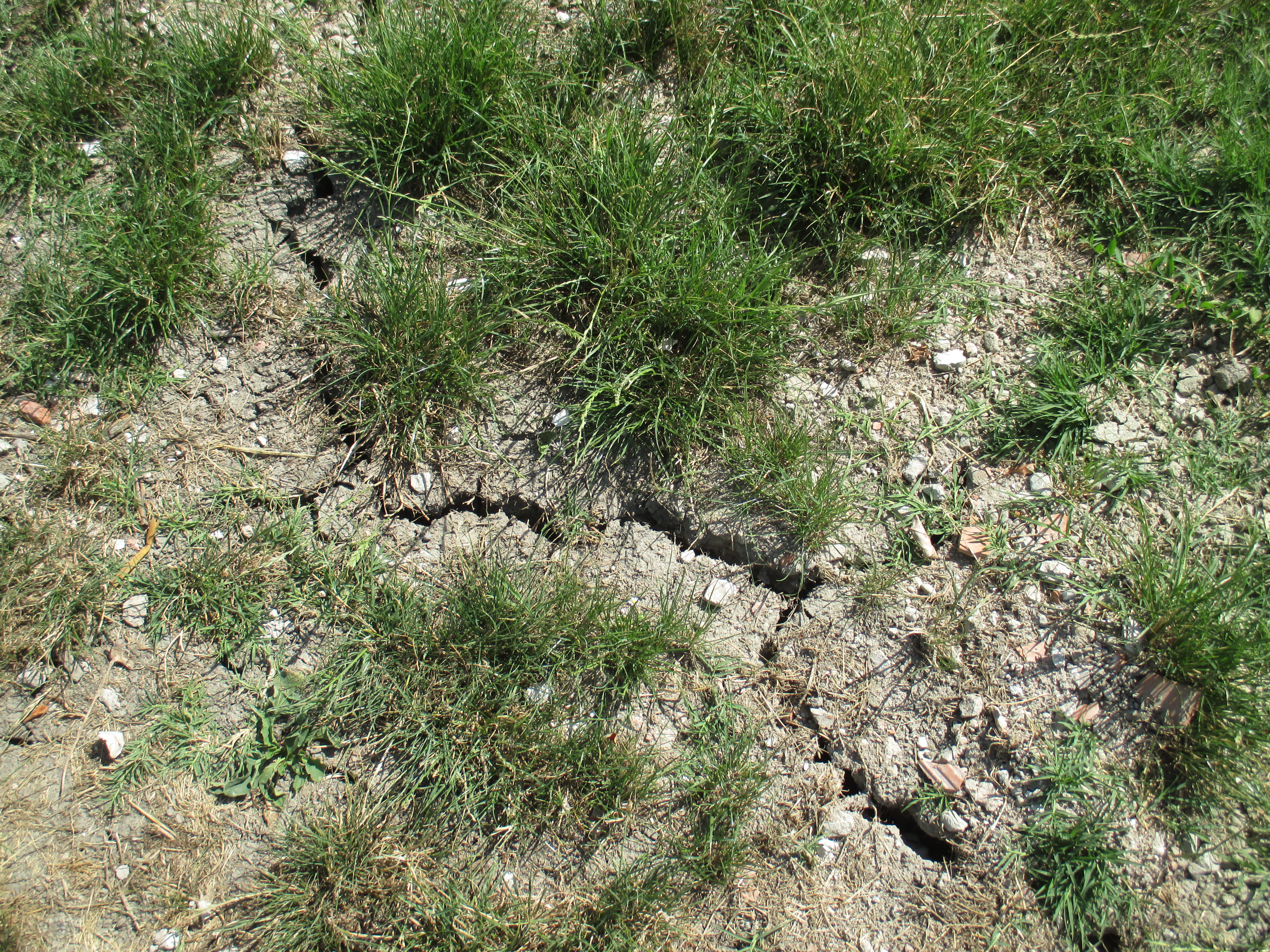 Crepe nei muri causate da terreno argilloso – perché?