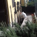 pali precaricati - fase di infissione